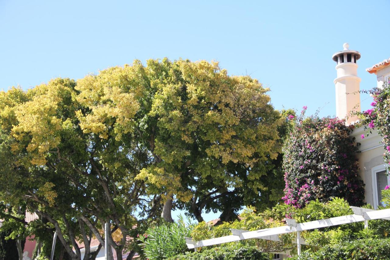 Ninho Salino Hotel Cascais Exterior photo