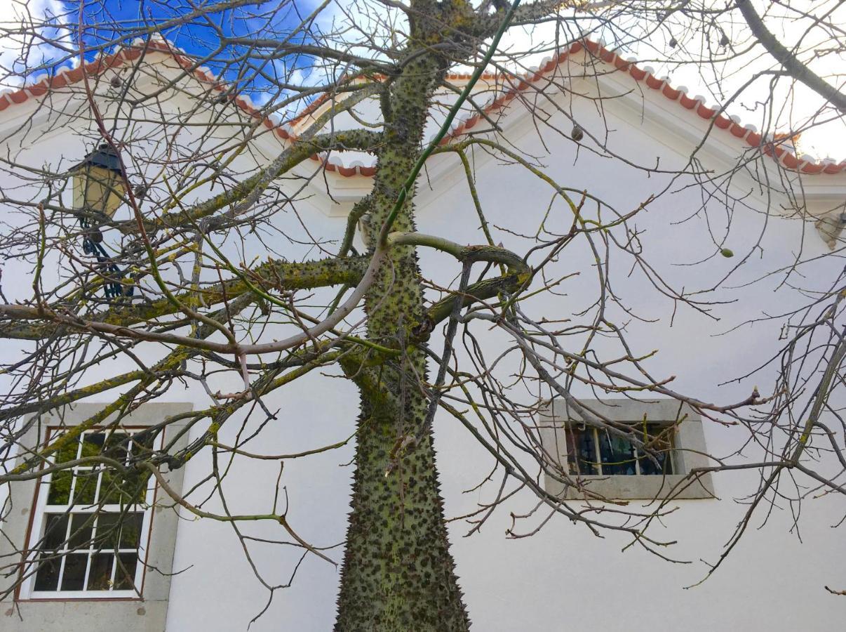 Ninho Salino Hotel Cascais Exterior photo